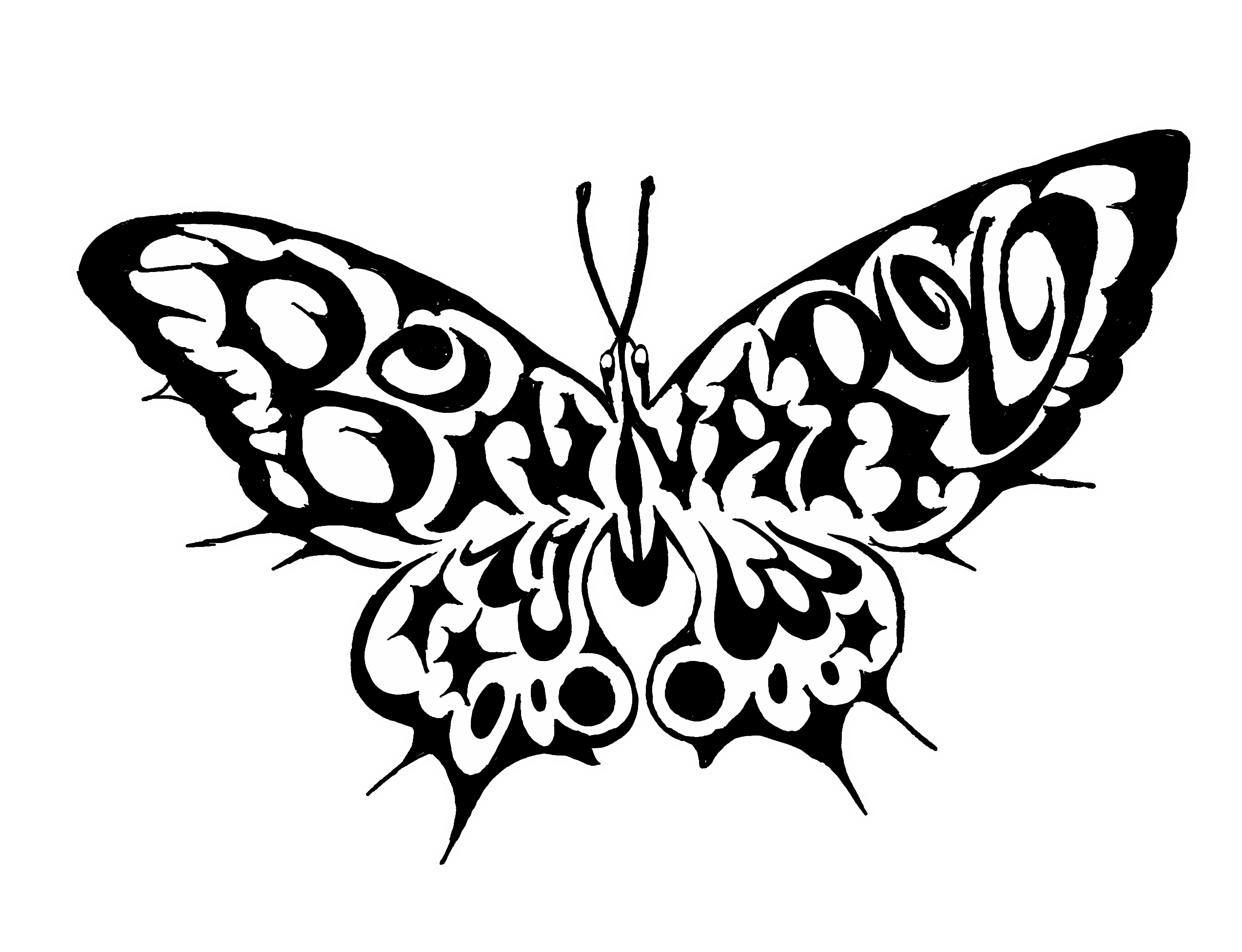 BONNAROO-BUTTERFLY
